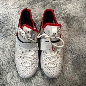 LeBron James Sneakers